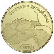  500 рупий 2019 «Красотел пахучий» остров Суматра (Индонезия), фото 1 