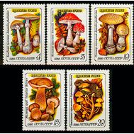  1986. СССР. 5655-5659. Ядовитые грибы. 5 марок, фото 1 