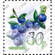  2021. ЛНР. 456. Стандартная почтовая марка «Черника», фото 1 