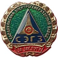  Значок «За заслуги. СЭГЗ» СССР, фото 1 