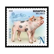  2024. Беларусь. 1557. Детеныши домашних животных. Поросёнок, фото 1 
