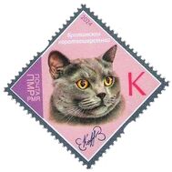  2024. Приднестровье. 1286. Породы кошек. Британская короткошерстная, фото 1 