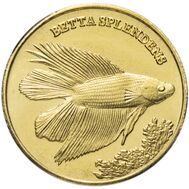  5 рупий 2016 «Бойцовая рыбка. Экзотические рыбы» Малуку (Индонезия), фото 1 