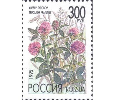  5 почтовых марок «Полевые цветы России» 1995, фото 5 