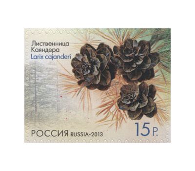  4 почтовые марки «Флора России. Шишки хвойных деревьев и кустарников» 2013, фото 4 