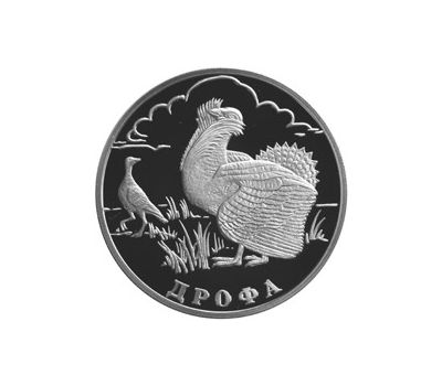  Серебряная монета 1 рубль 2004 «Дрофа», фото 1 