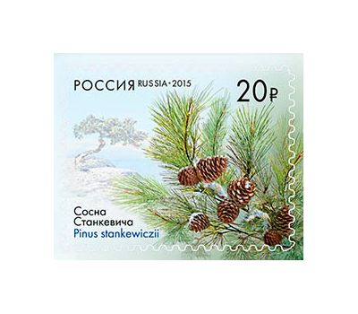  Сцепка «Флора России. Всероссийская эколого-патриотическая акция «Аллеи России» 2015, фото 2 
