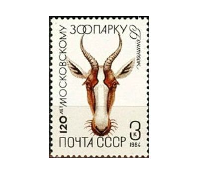  5 почтовых марок «120 лет Московскому зоопарку» СССР 1984, фото 3 