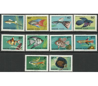  Почтовые марки «Фауна. Аквариумные рыбы» Венгрия, 1962, фото 1 