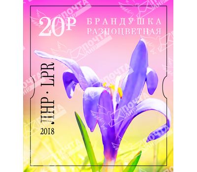  Почтовая марка «Брандушка разноцветная» ЛНР 2018, фото 1 