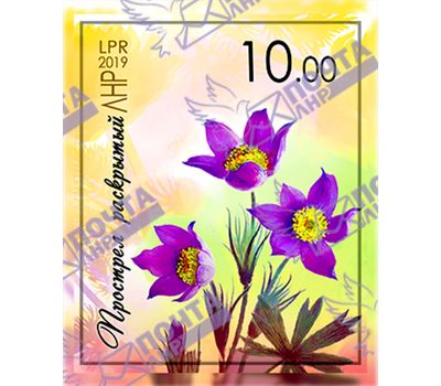  Почтовая марка «Прострел раскрытый» ЛНР 2019, фото 1 