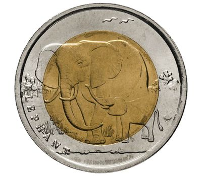  Монета 1 лира 2009 «Слон и детёныш (Красная книга)» Турция, фото 1 