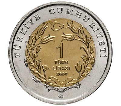 Монета 1 лира 2009 «Слон и детёныш (Красная книга)» Турция, фото 2 