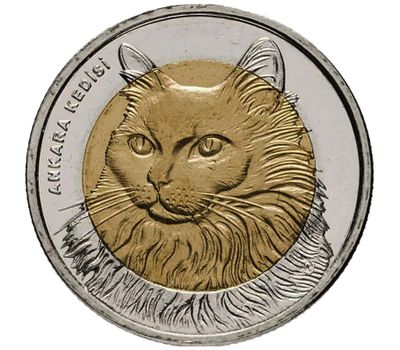  Монета 1 лира 2010 «Кошка (Фауна)» Турция, фото 1 