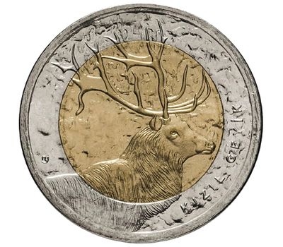  Монета 1 лира 2012 «Олень благородный (Красная книга)» Турция, фото 1 