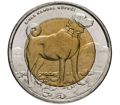  Монета 1 лира 2010 «Собака Кангал (Фауна)» Турция, фото 1 