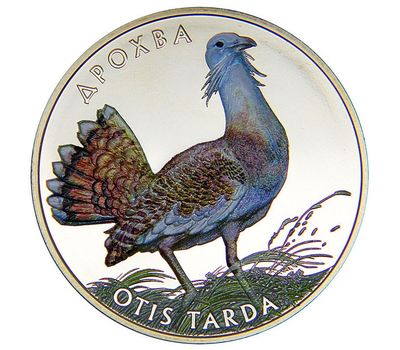  Монета 2 гривны 2013 «Дрофа» Украина, фото 1 