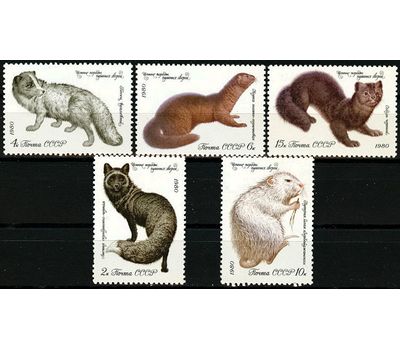  5 почтовых марок «Ценные породы пушных зверей» СССР 1980, фото 1 