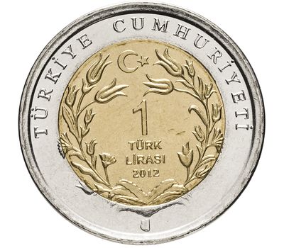  Монета 1 лира 2012 «Леопард переднеазиатский (Красная книга)» Турция, фото 2 