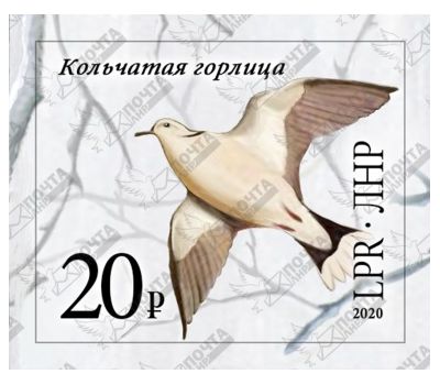  Почтовая марка «Кольчатая горлица» ЛНР 2020, фото 1 