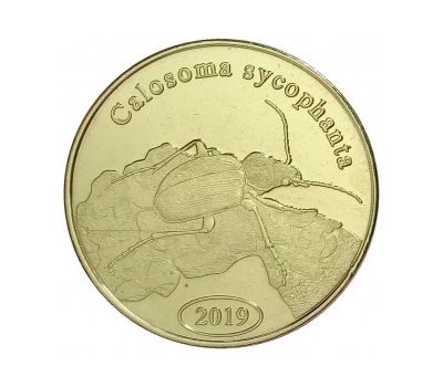 Монета 500 рупий 2019 «Красотел пахучий» остров Суматра (Индонезия), фото 1 