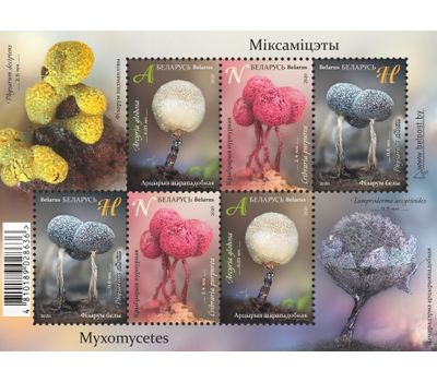  Малый лист «Миксомицеты» Беларусь 2020, фото 1 