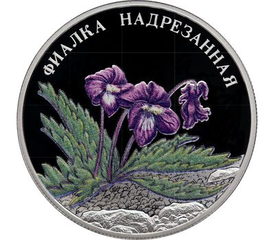  Серебряная монета 2 рубля 2022 «Фиалка надрезанная», фото 1 