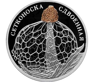  Серебряная монета 2 рубля 2022 «Сетконоска сдвоенная», фото 1 