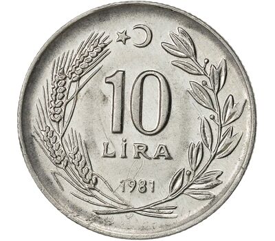  Монета 10 лир 1981 Турция, фото 2 