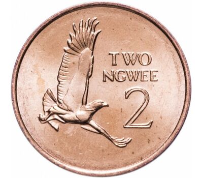  Монета 2 нгве 1983 Замбия, фото 2 