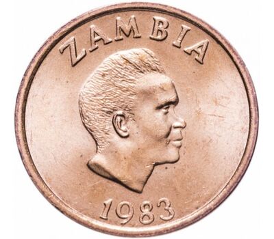  Монета 2 нгве 1983 Замбия, фото 1 