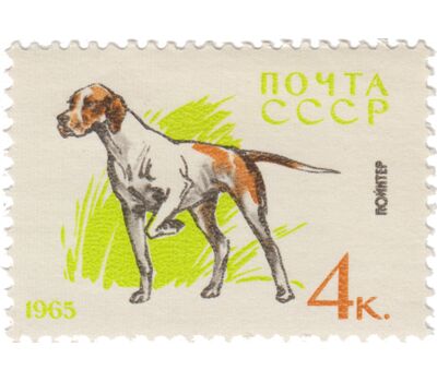  10 почтовых марок «Служебные и охотничьи собаки» СССР 1965, фото 4 