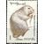  5 почтовых марок «Ценные породы пушных зверей» СССР 1980, фото 6 