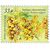  4 почтовые марки «Флора России. Декоративные кустарники» 2026, фото 4 